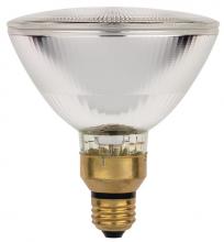 Flood Bulbs