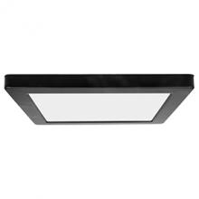 Access 20835LEDD-BL/ACR - LED Flush Mount