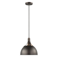 Visual Comfort & Co. Studio Collection 6524201EN3-710 - Rockland One Light Pendant